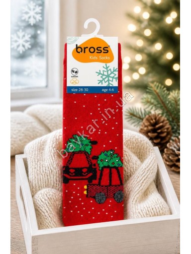 Дитячі махрові шкарпетки 2 шт зі стопами Bross арт 010966 червоні Новорічні