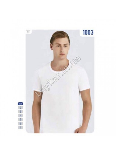 Футболка для мужчин 100% хлопок Baykar арт 1003-01 Белый