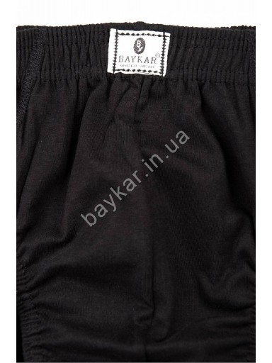 Трусы плавки слип мужские Baykar хлопок арт 1100-02 Черный