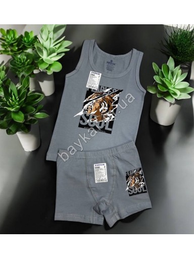 Комплекты 3шт для мальчика боксеры майки хлопок Baykar арт 2390-3390 Tiger