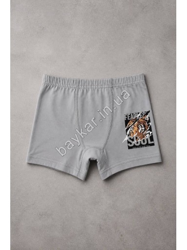 Боксери бавовна для хлопчика Baykar арт 3390 Комплект 3 шт Tiger