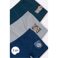 Трусы боксеры хлопок для мальчика Baykar арт 3390 Комплект 3 шт Tiger