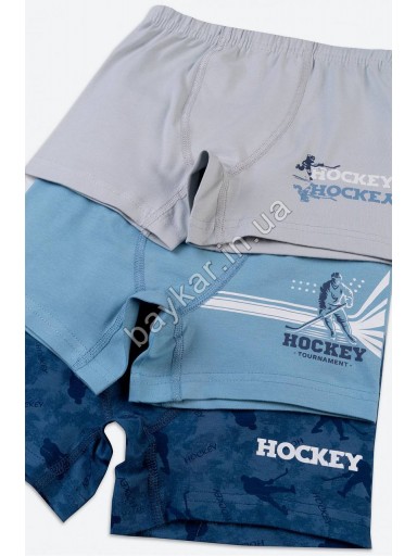 Боксеры детские трусы хлопоковые для мальчика Baykar арт 3430 Hockey Комплект 3 шт