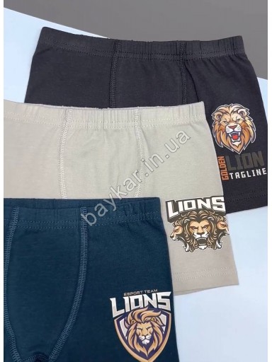 Комплект для мальчика майка боксеры хлопок Baykar арт 2444-3444 Lion