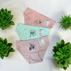 Бавовняні дитячі труси 3шт сліп для дівчаток Baykar арт 5842 Прованс