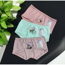 Бавовняні дитячі труси 3шт шорти для дівчаток Baykar арт 5844 Прованс