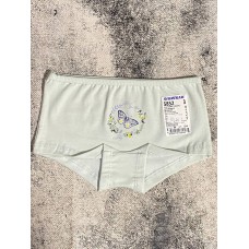 Дитячі труси шортики для дівчаток бавовна Baykar арт 5852 Метелик Оливка