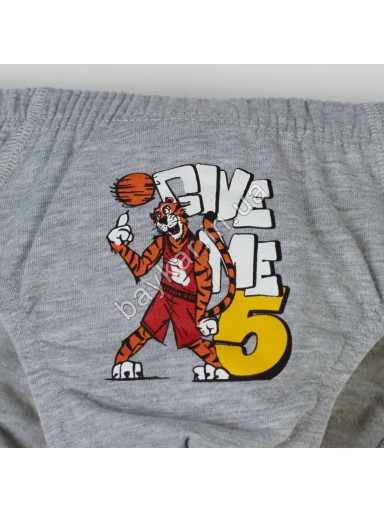 Труси сліпи дитячі для хлопчика бавовна Baykar арт 3435 Basketball Комплект 3 шт